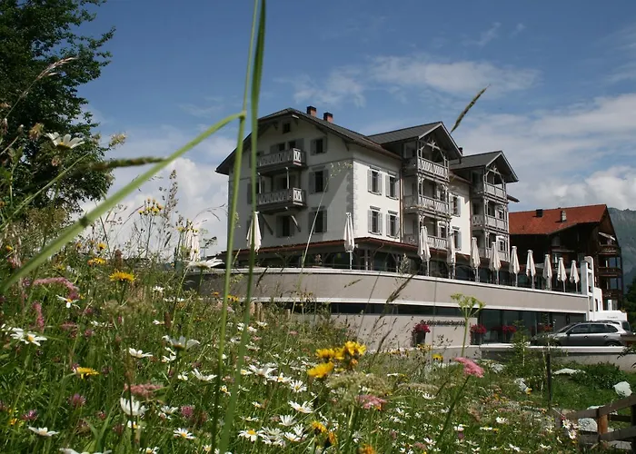 The Alpina Mountain Resort