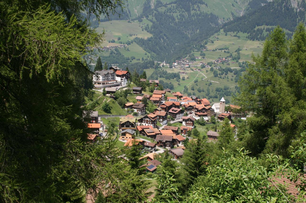 The Alpina Mountain Hotel