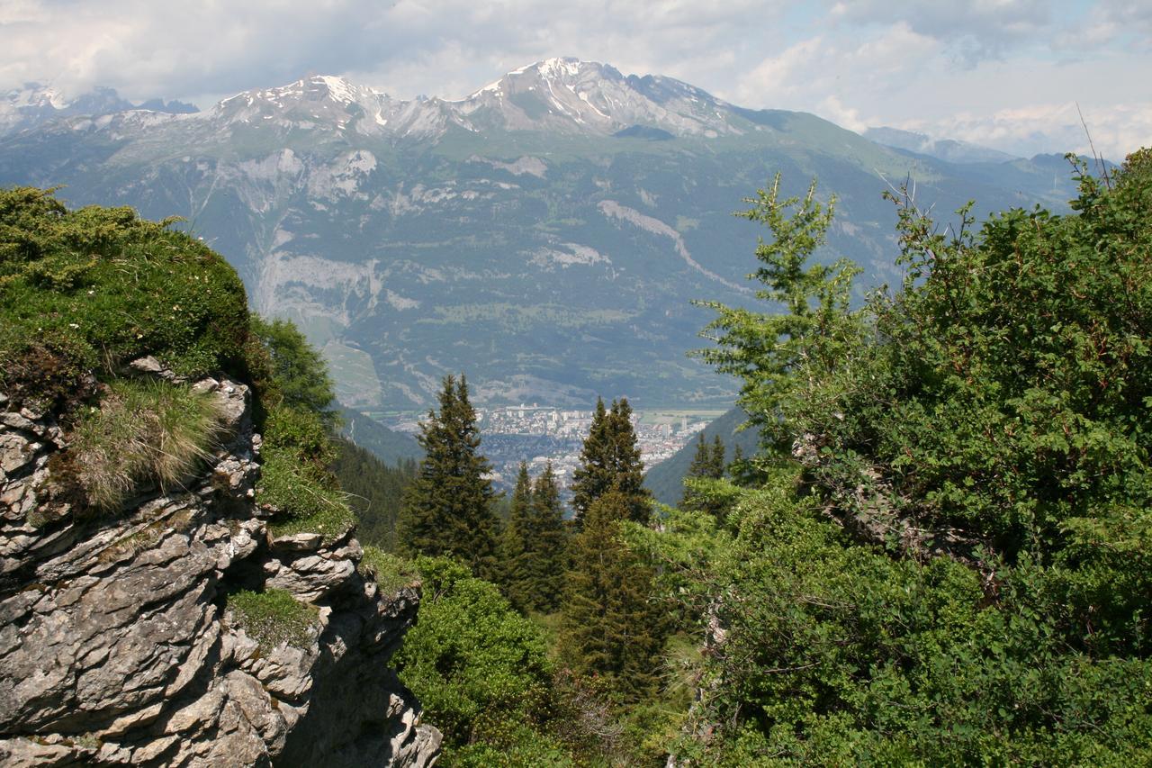 The Alpina Mountain Tschiertschen